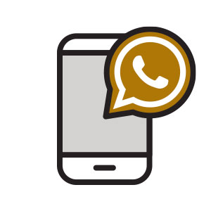 Assistenza WhatsApp - Cavallini